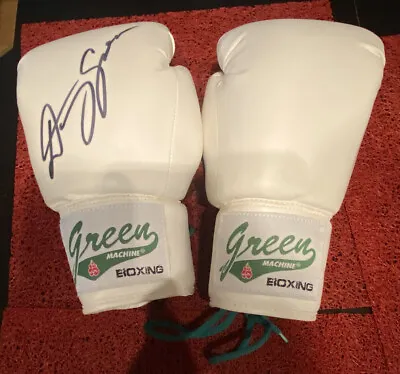 $450 • Buy Danny Green Hand Signed  Gloves Green Machine Boxing Offical Authentic