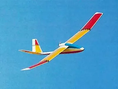 Amadeus Sport Model 77  Wingspan R/C Model Airplane Printed Plans &Templates • $25