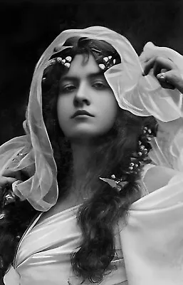 Maude Fealy Actress Mantilla Veil Flowers B+W Photo Poster Print PICK SIZE • $27.99