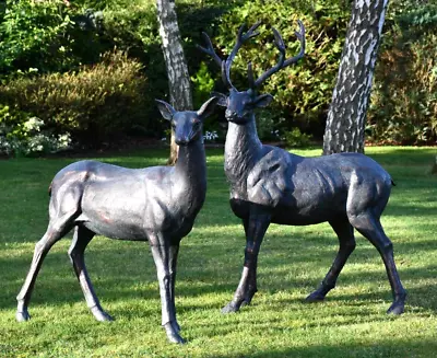 Metal Life Size Stag And Doe Set Sculpture / Deer Statue Aged Bronze Finish • £1195