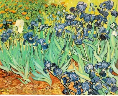 Dream-art Oil Painting Beautiful Flowers Nice Still Life Iris - Van Gogh Canvas • $72.99