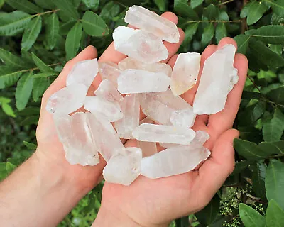 Wholesale CLEARANCE Lot 500 Carat Rough Natural Quartz Crystal Points  • $7.75