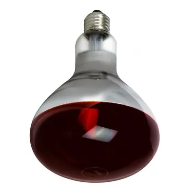 INFRA RED HEAT BULB LAMP RUBY 250W Poultry Chick Brooder Lambs Livestock • £9.20