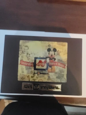 $19.99 • Buy Walt Disney World 40 Year Set Of Pins
