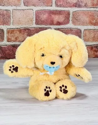 Little Live Pets Puppy Dog Cozy Dozy Charlie Interactive Pacifier Plush Tested • $11.55