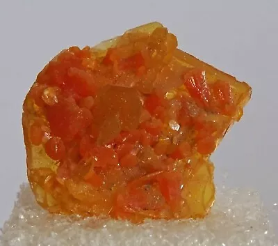 Wulfenite/Mimetite From Mina San Francisco Magdalena Mexico. Mason Collection. • $72