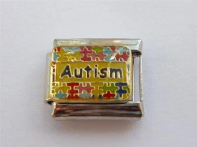 £3.30 • Buy AUTISM SILVER CLASSIC ITALIAN CHARM LINK  Fits All 9mm Italian Bracelet U10