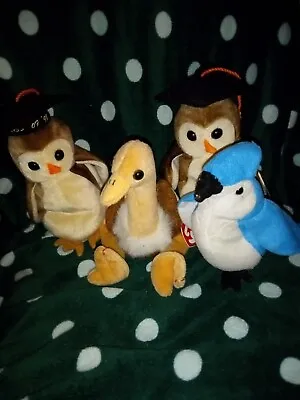$4.40 • Buy Easter Basket LOT Of 4 Beanie Babies Birds - 2 Wise Owls, Early And Stretchy