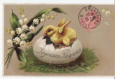 CPA Fantasy Relief JOYFUL PACKS Chush On Hatched Egg & Brin Thrush 1907 • $4.79