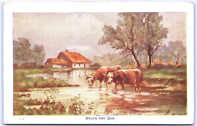 Postcard Montana Steers Wading In Stream Below The Dam Postmarked Eureka 1912 G9 • $4.73