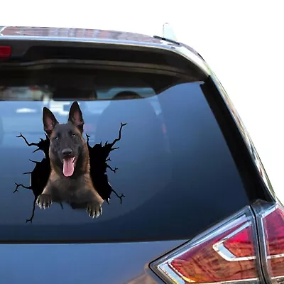 Belgian Malinoi Car Decal Belgian Malinois Sticker Kawaii Cute Stickers For Dad • $16.98