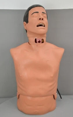 $595 • Buy Laerdal AT Kelly Torso 260-00001 Airway Training Manikin