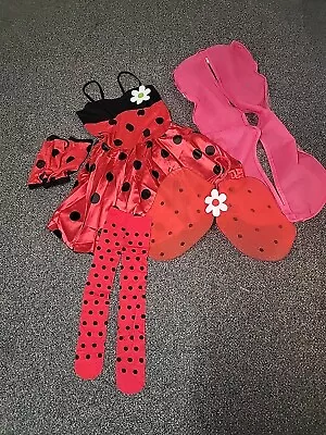 Ladybird Dress Up Costume Large Child  • £9.99