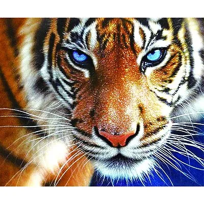 £6.98 • Buy Large Tiger 5D Diamond Painting Embroidery Crafts Cross Stitch Art Kit Mural DIY