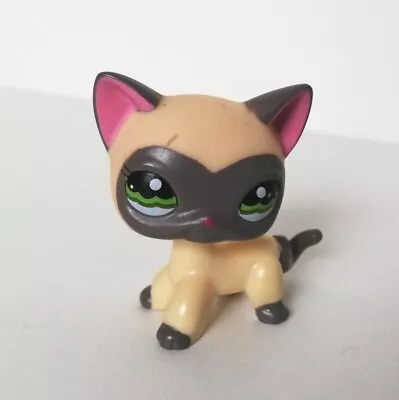 £19.99 • Buy Littlest Pet Shop LPS Short Hair Siamese Cat #1116 Genuine Hasbro Toy Figure