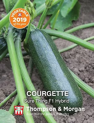 Thompson & Morgan Courgette Sure Thing Garden Plants Half-Hardy Annual Seeds • £3.49