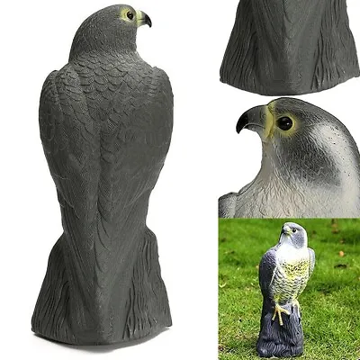 Large Falcon Decoy Hawk Cat Bird Scare Outdoor Garden Lawn Statue Realistic 40cm • £11.99