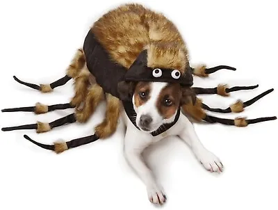 Zack & Zoey Fuzzy Tarantula Costume For Dogs 12  Small • $22.99