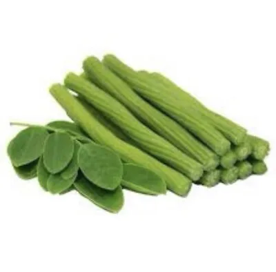 £16.99 • Buy Fresh Moringa 100% Pure And Natural Drumstick   Uk Seller (500g)
