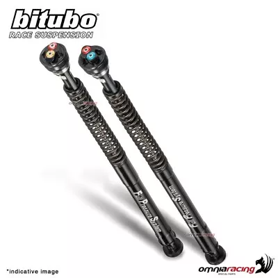 Bitubo EBH0 Adjustable Fork Cartridge For Yamaha R6 2006-2007 • $1581