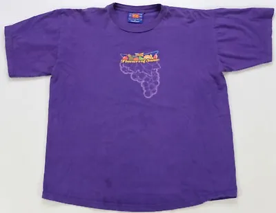 Rare Vintage SONIC Flavors Of Sonic Slushes Grape Fruit T Shirt 2000s Purple XL • $29.99