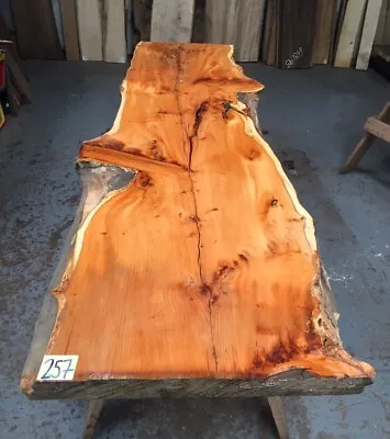 Yew Waney Edge 35mm Board / Kiln Dried / Table Top / Bar Top /River Table/ Pippy • £203.49