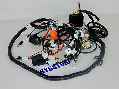 Honda Ruckus To Gy6 Conversion Wiring Harness By The Ruck Shop (plug And Play) • $237.45