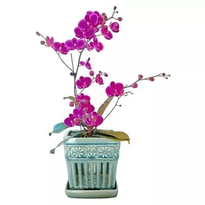 Orchid Pots With Holes | 5  Ceramic Orchid Planter With Separate Square Blue • $42.53