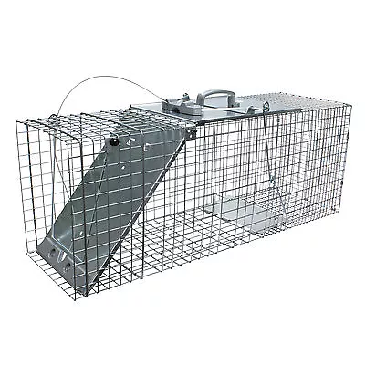 Easy Set Animal Trap Raccoons Cats Groundhogs Opossums Armadillos Havahart 1085  • $110.95