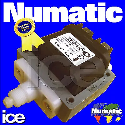 £109.99 • Buy Numatic CT 370 470 CTD 570 575 GVE George Detergent Solution Chemical Water Pump