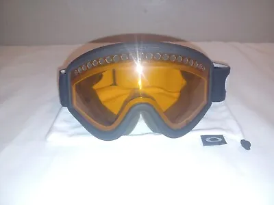 Oakley Ski Goggles With Case • $34