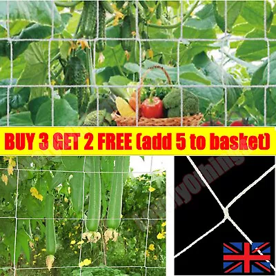 Plant Support Mesh Garden Net Vegetable`Fruit Climbing Netting  Pea/Bean Trellis • £2.80