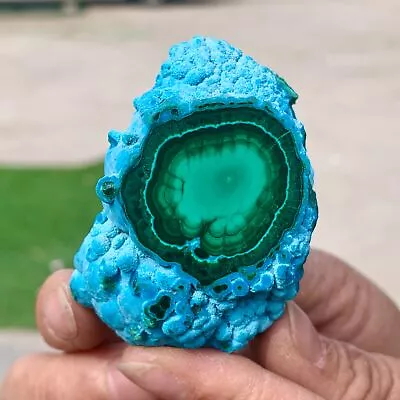 99G Natural Chrysocolla/Malachite Transparent Cluster Rough Mineral Sample • $12.50