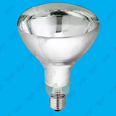 £6.49 • Buy 250W IR Heat Lamp, Food Service Restaurant Catering Display Infra Red Light Bulb
