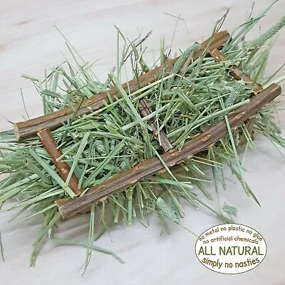 £1.95 • Buy Blackberry Wood Hay Feeder With Timothy Hay Chew Treat For Chinchilla Mouse
