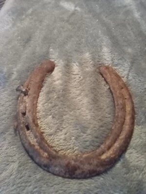 $13.99 • Buy Old Lucky Horseshoe,relic Condition,metal Detecting Find.