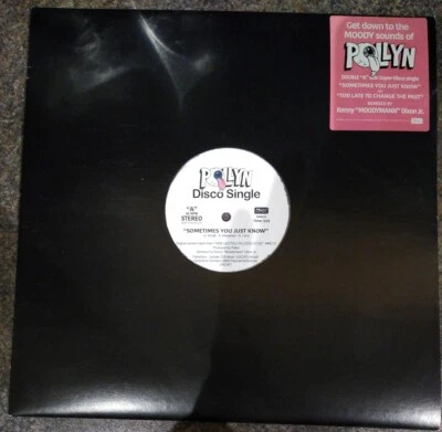 £21.34 • Buy POLLYN -Sometimes You Just Know- Moodymann Remixes Pink Vinyl  12  Single