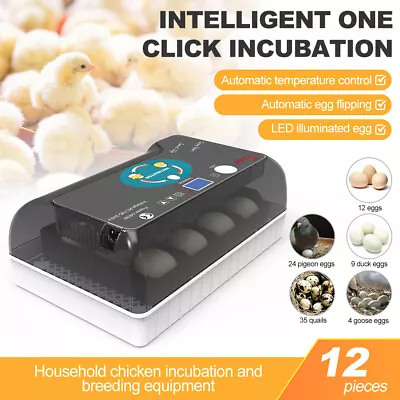 Digital 12 Eggs Incubator Humidity Control Automatic Turning Chicken Hatcher UK • £53.19