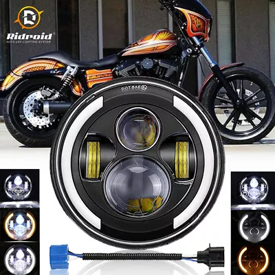 Black 7  Inch Round LED Headlight DOT For Ducati Monster 1000 900 800 750 695 • $29.98