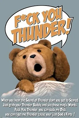 TED ~ SOUND OF THUNDER JUST GOD'S FARTS 24x36 MOVIE POSTER Seth MacFarlane Buddy • $6.80