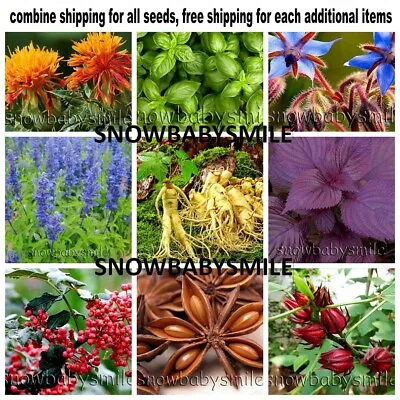 52 Kinds Herb Seeds Aromatic Spices Plant Vegetable Medicinal Heirloom NON-GMO  • $1.98