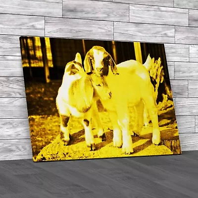 Baby Goats Yellow Canvas Print Large Picture Wall Art • £14.95