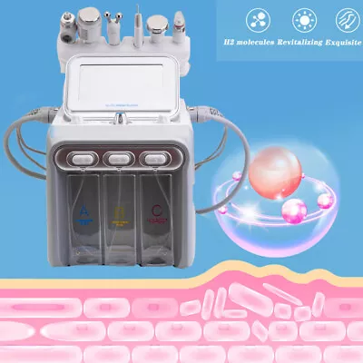 Facial Spa Hydro Skin Cleansing Dermabrasion Oxygen Spray Beauty Machine 110V • $208.19