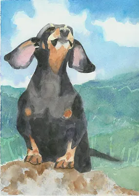 Giclee Print  Art Dog Watercolor Painting  Dachshund Pet Portrait • $35