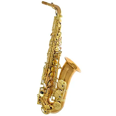 Yanagisawa A-WO20 Alto Saxophone | Bronze | Made In Japan • $5195