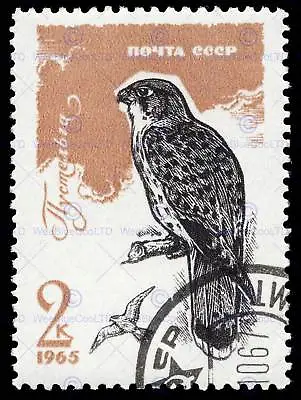 Postage Ussr Soviet Stamp 1965 Falcon Bird New Fine Art Print Poster Cc3891 • £11.99