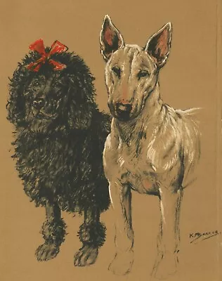 Bull Terrier & Poodle Lovely Old 1930's Dog Art Print  Artist K F  Barker • £12.99