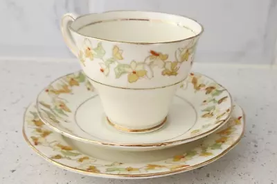 Salisbury Bone China Floral Teacup Saucer & Plate Trio Made In England • $45