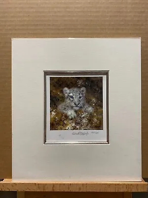 David Shepherd - Snow Leopard - Miniature - Mounted ( In Stock) • £50