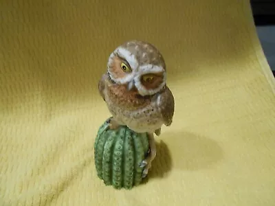 Elf Owl 1986 Hamilton Collection Maruri Majestic Owls Of The Night  • $40